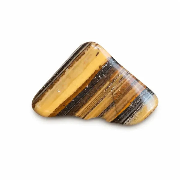 Fancy Banded Jasper Tumbled Single Piece 1" - 1.5"