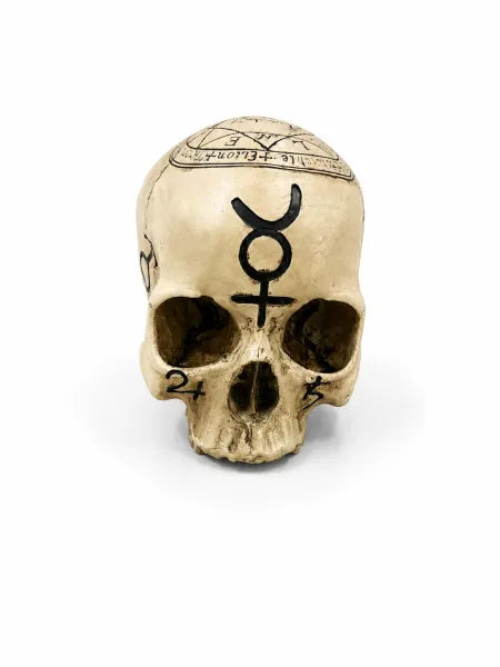 Skull With Pentagram & Symbols Figurine